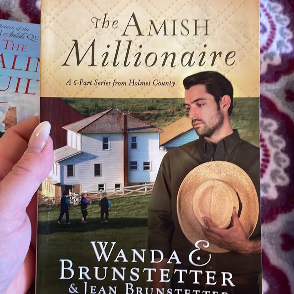 3 Amish Novels by authors Wanda Brunstettler, Elizabeth Byler Younts. - Picture 4 of 7